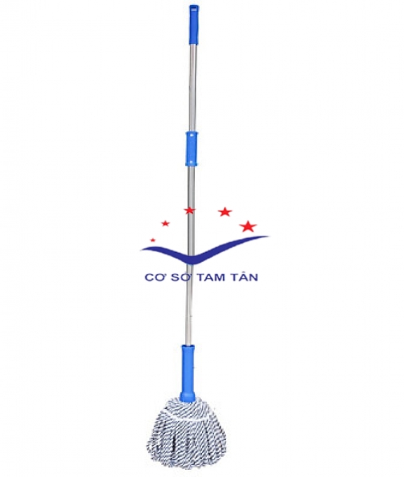 Cây lau nhà