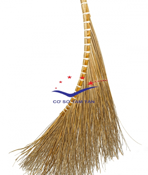 Chổi tàu cau lớn