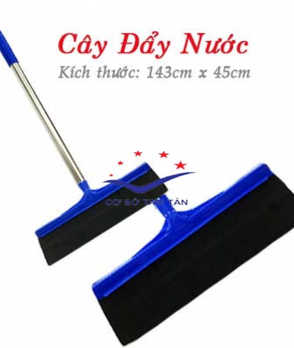 Cây đẩy nước