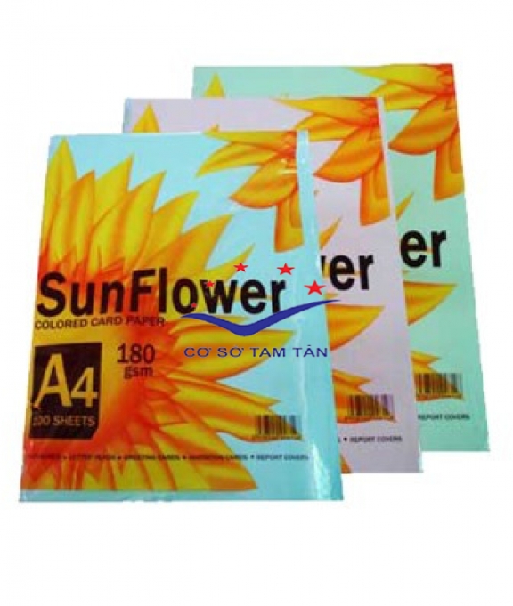 Bìa màu A4 SunFlower